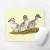 Sachsen Ducklings Mousepad (Mit Mouse)