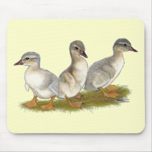 Sachsen Ducklings Mousepad