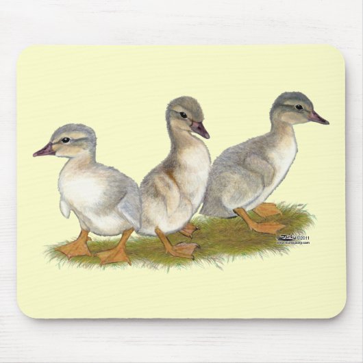 Sachsen Ducklings Mousepad (Vorne)
