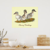 Sachsen Ducklings Poster (Küche)
