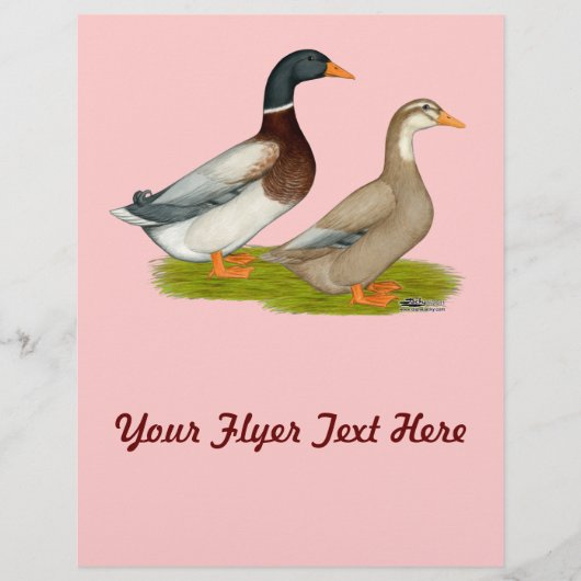 Sachsen Ducks Flyer (Vorne)