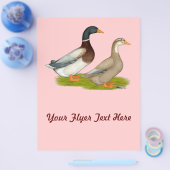 Sachsen Ducks Flyer (Einzeln)