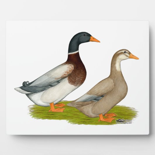 Sachsen Ducks Fotoplatte (Vorderseite)
