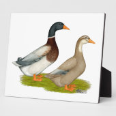 Sachsen Ducks Fotoplatte (Seite)
