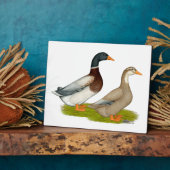 Sachsen Ducks Fotoplatte (Seite)