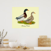 Sachsen Ducks Poster (Küche)