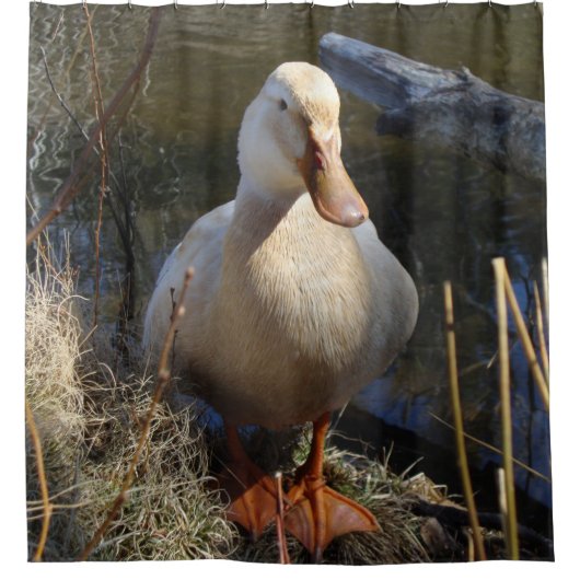 Sachsen-Ente Duschvorhang (Vorderseite)