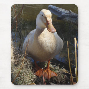 Sachsen-Ente Mousepad