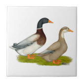 Sachsen-Enten Fliese (Vorderseite)