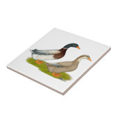 Sachsen-Enten Fliese (Seite)