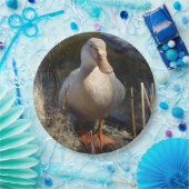 Sachsen-Enten-Pappteller Pappteller (Party)