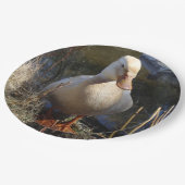 Sachsen-Enten-Pappteller Pappteller (Schrägansicht)