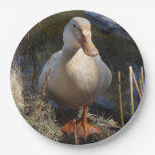 Sachsen-Enten-Pappteller Pappteller (Vorderseite)