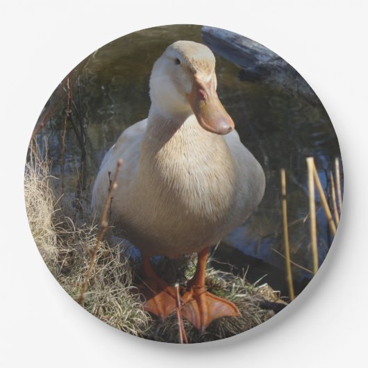 Sachsen-Enten-Pappteller Pappteller (Vorderseite)