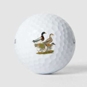 Sachsen-Entenfamilie Golfball