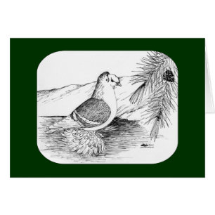 Sächsische Schildtaube 1973