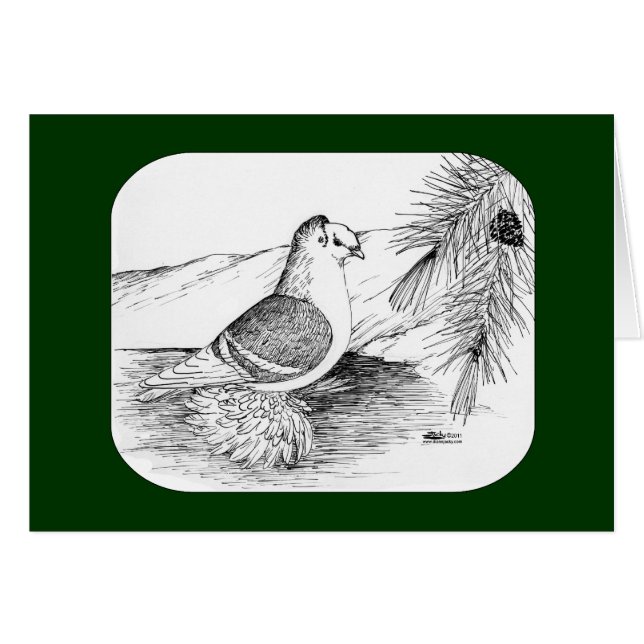 Sächsische Schildtaube 1973 (Vorderseite (Horizontal))