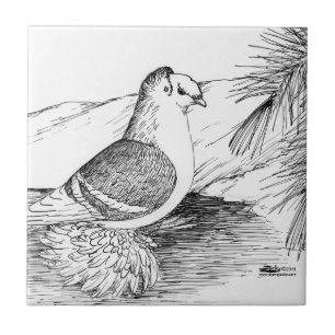 Sächsische Schildtaube 1973 Fliese