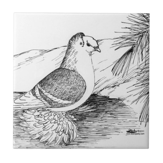 Sächsische Schildtaube 1973 Fliese (Vorderseite)