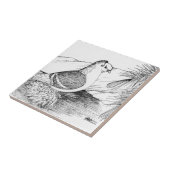 Sächsische Schildtaube 1973 Fliese (Seite)