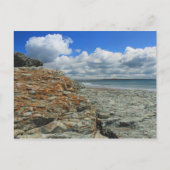 Sachuest Beach Newport Middletown Postkarte (Vorderseite)