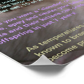 Sachverhalt der Katze 2 Poster (Ecke)