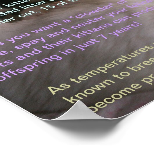 Sachverhalt der Katze 2 Poster (Ecke)