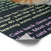 Sachverhalt der Katze 3 Poster (Ecke)