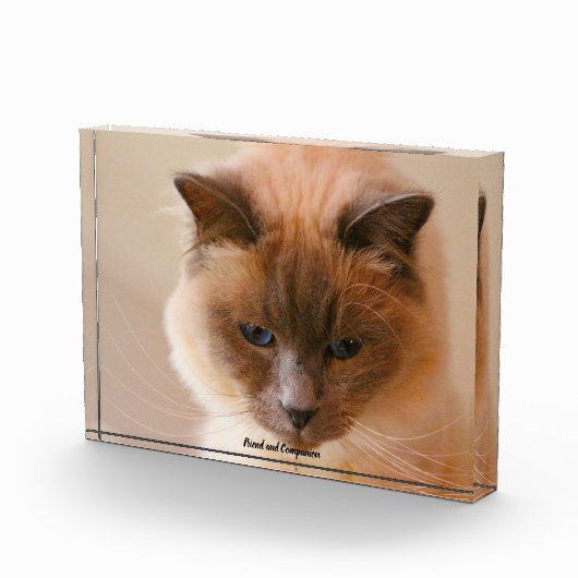 Sacrad Cat Fotoblock (Rechts)