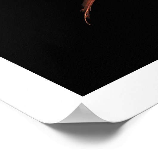 Sacral Chakra Poster (Ecke)