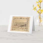 Sacramento, panoramische Karte 1857 (0066A) CA (Gelbe Blume)