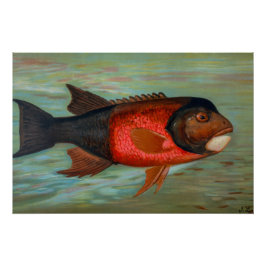 Sacramento Pike von John L Petrie Poster