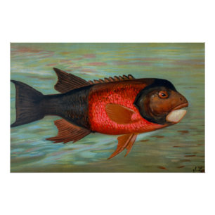 Sacramento Pike von John L Petrie Poster