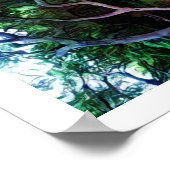 Sacramento River Forest Poster (Ecke)