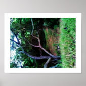 Sacramento River Forest Poster (Vorne)