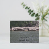 Sacramento River Postcard Postkarte (Stehend Vorderseite)