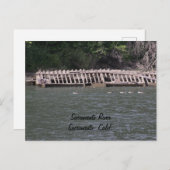 Sacramento River Postcard Postkarte (Vorne/Hinten)