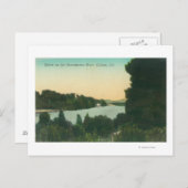 Sacramento River SceneColusa, CA Postkarte (Vorne/Hinten)
