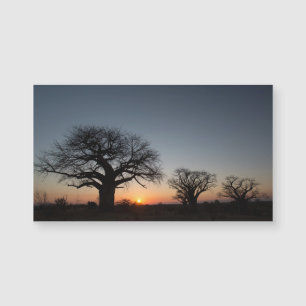 Sacred Baobabs Magnetkarte