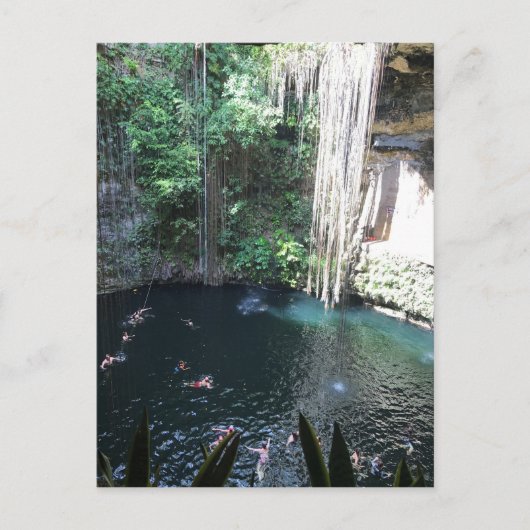 Sacred Blue Cenote, Ik Kil, Mexiko #2 Postcard Postkarte (Vorderseite)