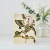 Sacred datura and blue butterfly Postkarte (Stehend Vorderseite)