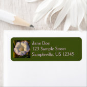 Sacred Datura Blume Wüste Wildblume (Insitu)