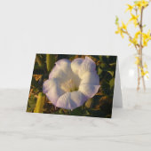 Sacred Datura Blume Wüste Wildblume Karte (Gelbe Blume)