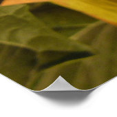 Sacred Datura Blume Wüste Wildblume Poster (Ecke)