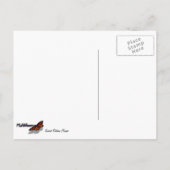 Sacred Datura Blume Wüste Wildblume Postkarte (Rückseite)