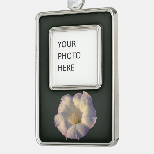 Sacred Datura Blume Wüste Wildblume Rahmen-Ornament Silber (Links)