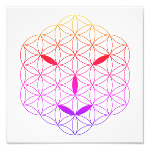 Sacred face - Arcturian 02, CF-Tr. Fotodruck
