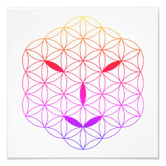 Sacred face - Arcturian 02, CF-Tr. Fotodruck