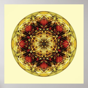 Sacred Geometry Mandala 6 Poster