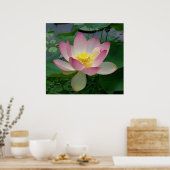 Sacred Lotus Blume Nelumbo Nucifera Poster (Küche)